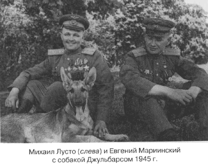 Немецкая овчарка Джульбарс — единственная собака, награжденная медалью «За боевые заслуги»